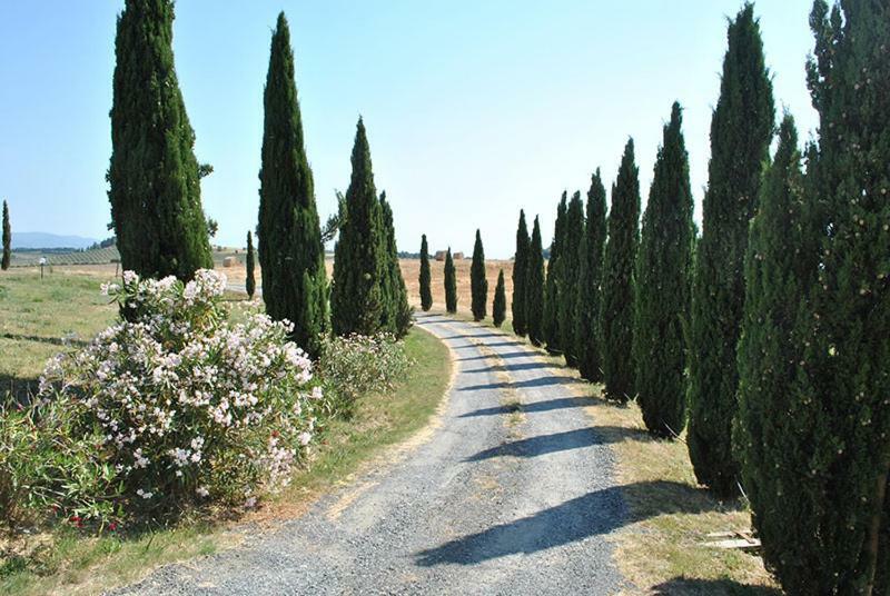 Agriturismo Il Poggio Casale Marittimo Exteriör bild